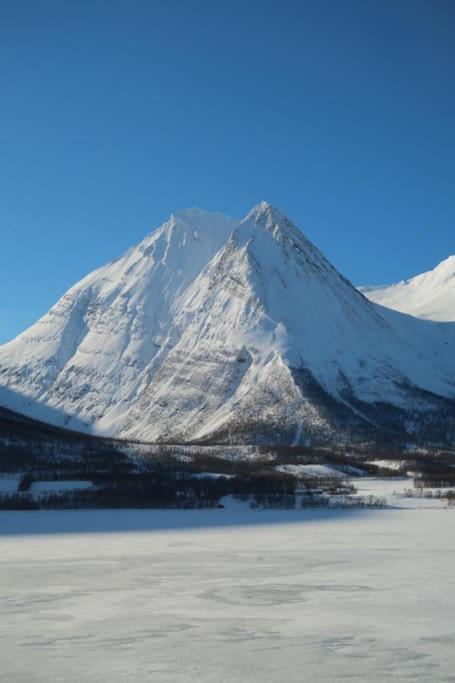 New Magnificent View Apartment Near The Centre Tromso Exterior photo